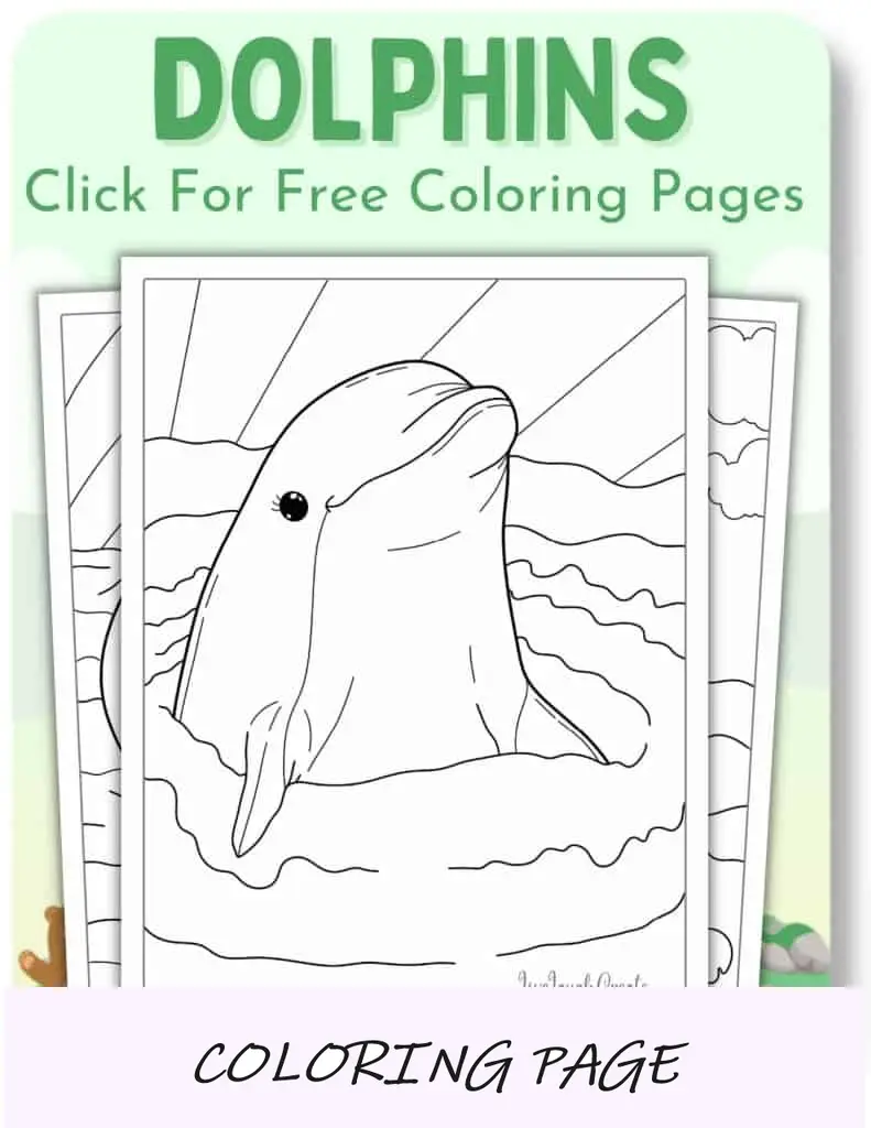 Desenhos para colorir de golfinhos_
