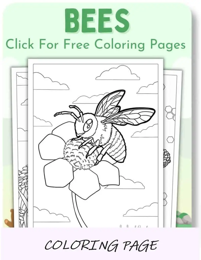Desenhos para colorir de abelhas_