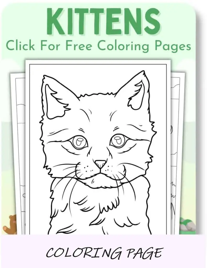 Desenhos para colorir de gatinhos para animais