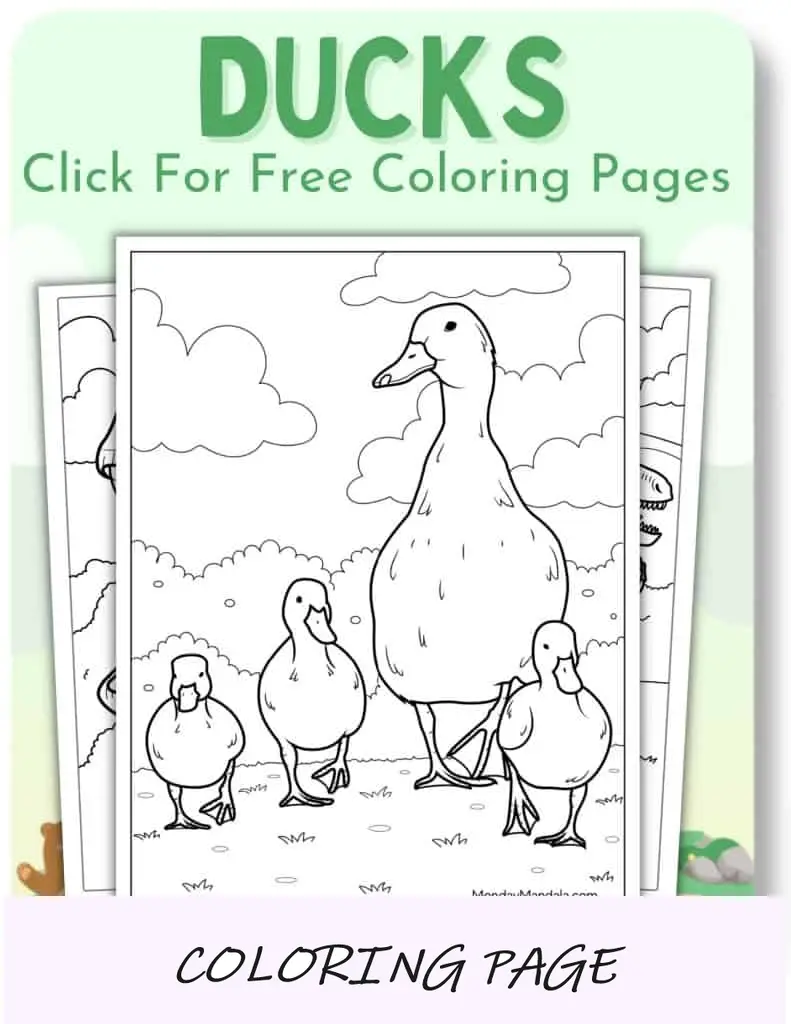 Desenhos para colorir de patos
