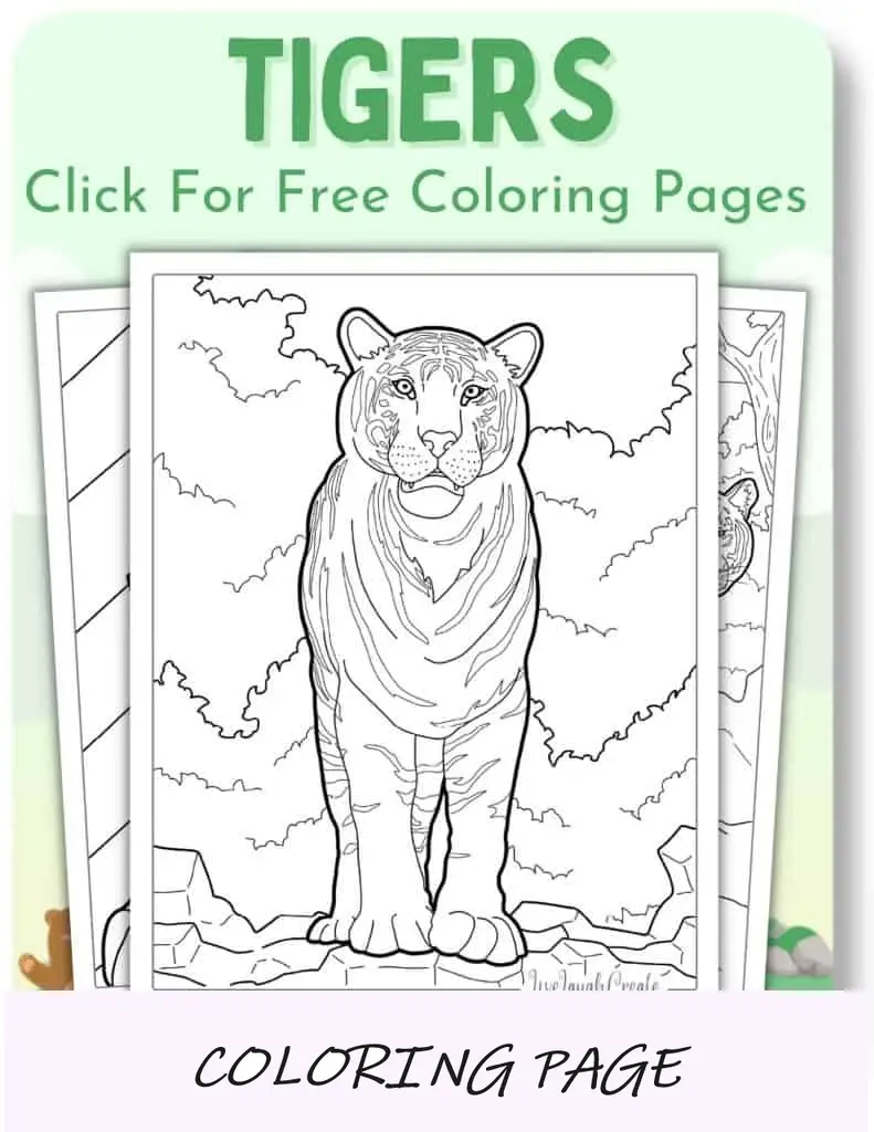 Desenhos para colorir de tigres_