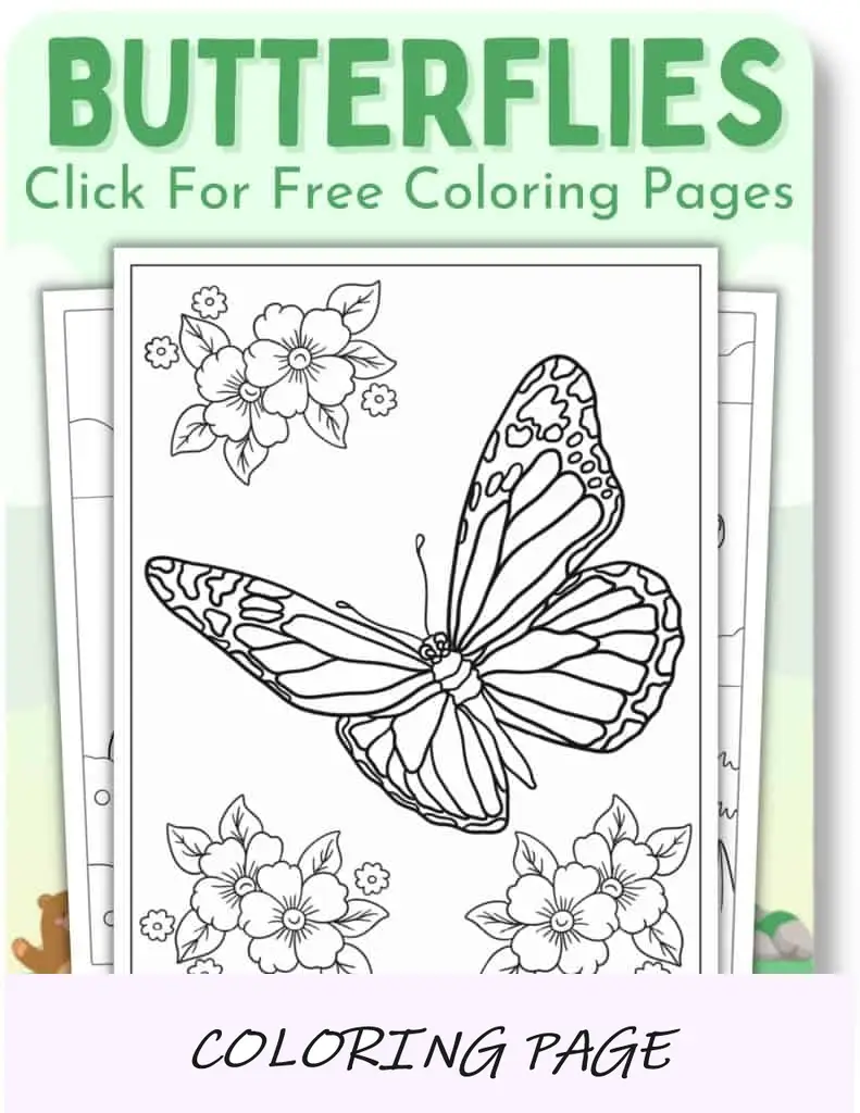 Desenhos para colorir de borboletas