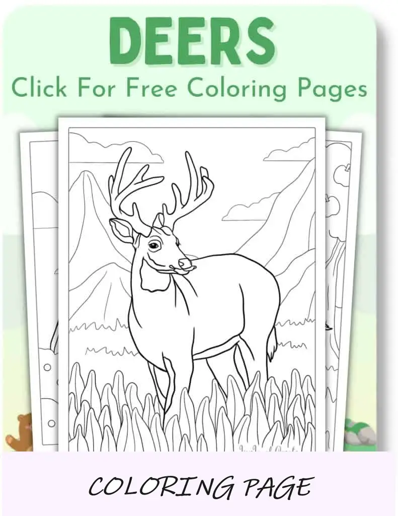 Desenhos para colorir de veados_