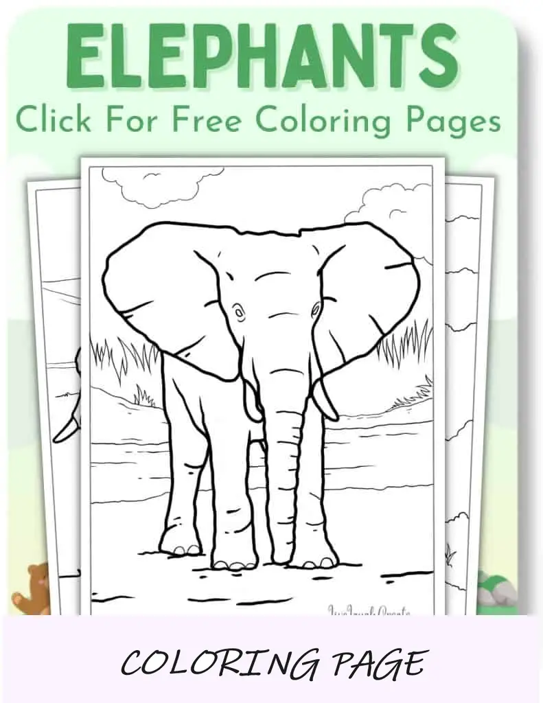 Desenhos para colorir de elefantes_