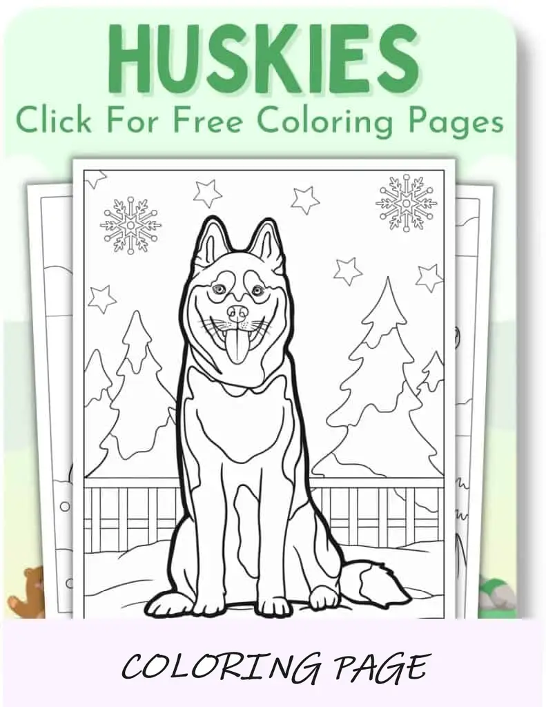 Desenhos para colorir de Huskies___