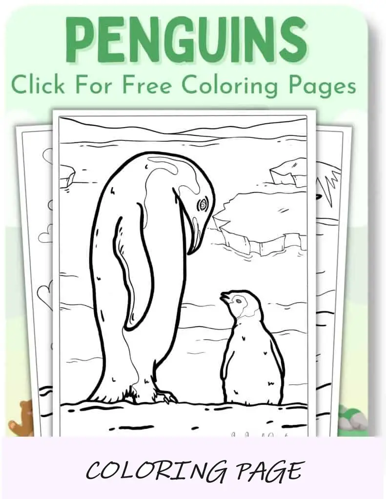 Desenhos para colorir de pinguins_