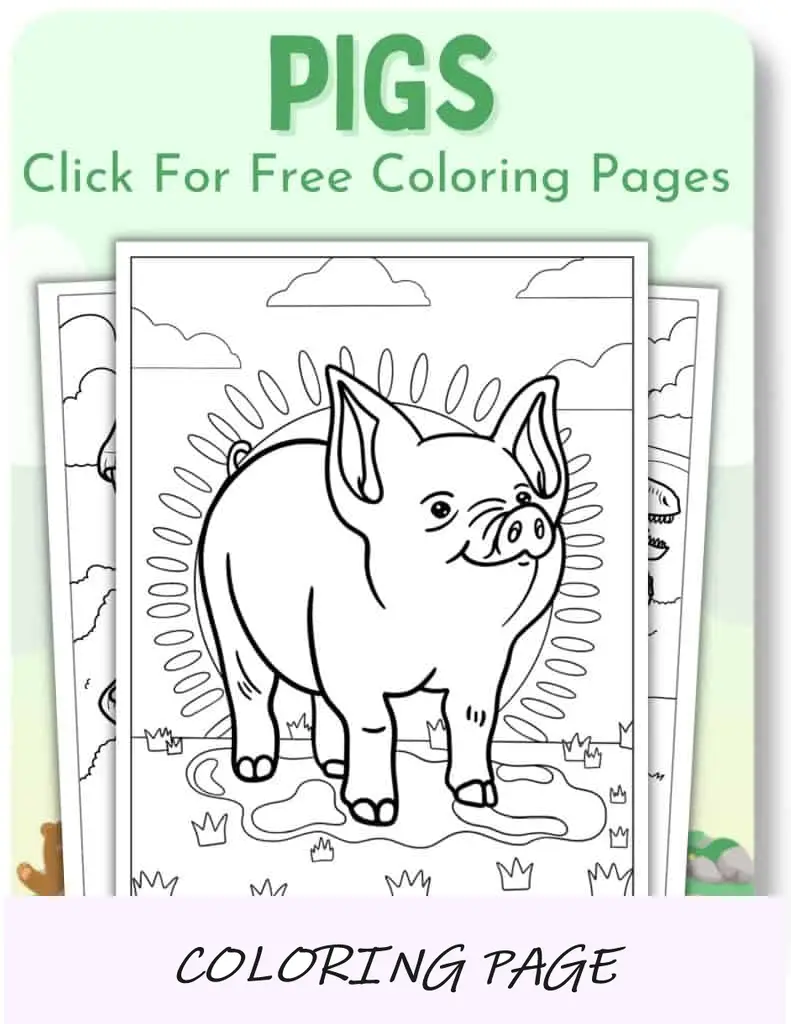 Desenhos para colorir de porcos