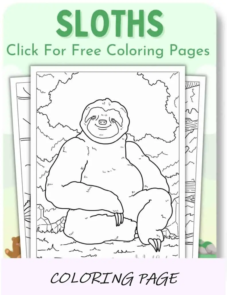 Desenhos para colorir de preguiças_