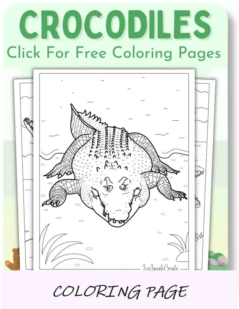 Desenhos para colorir de crocodilos_