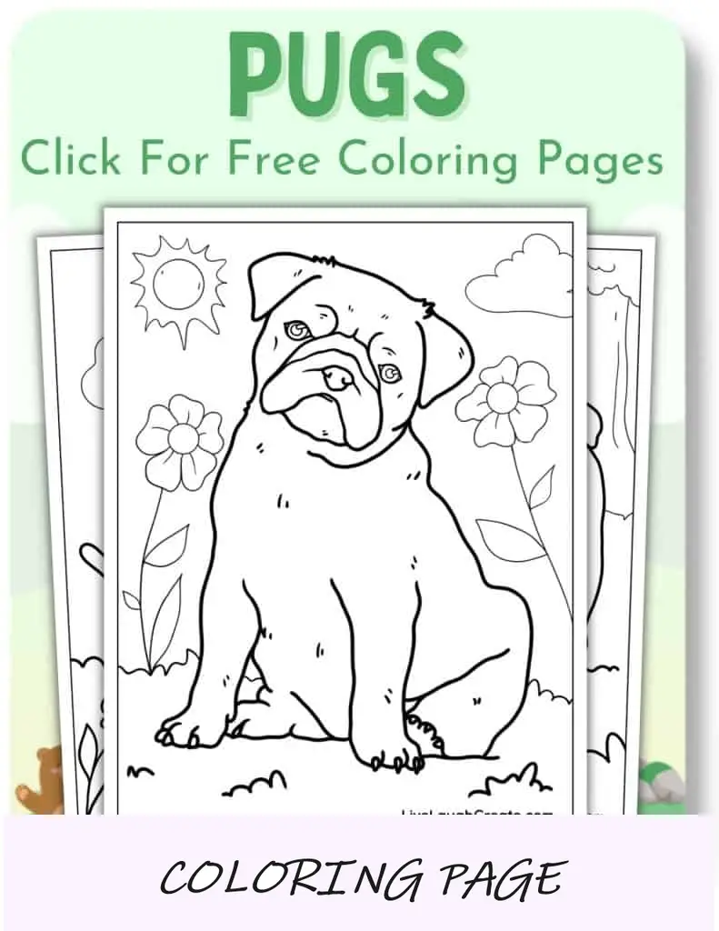 Desenhos para colorir de Pugs_