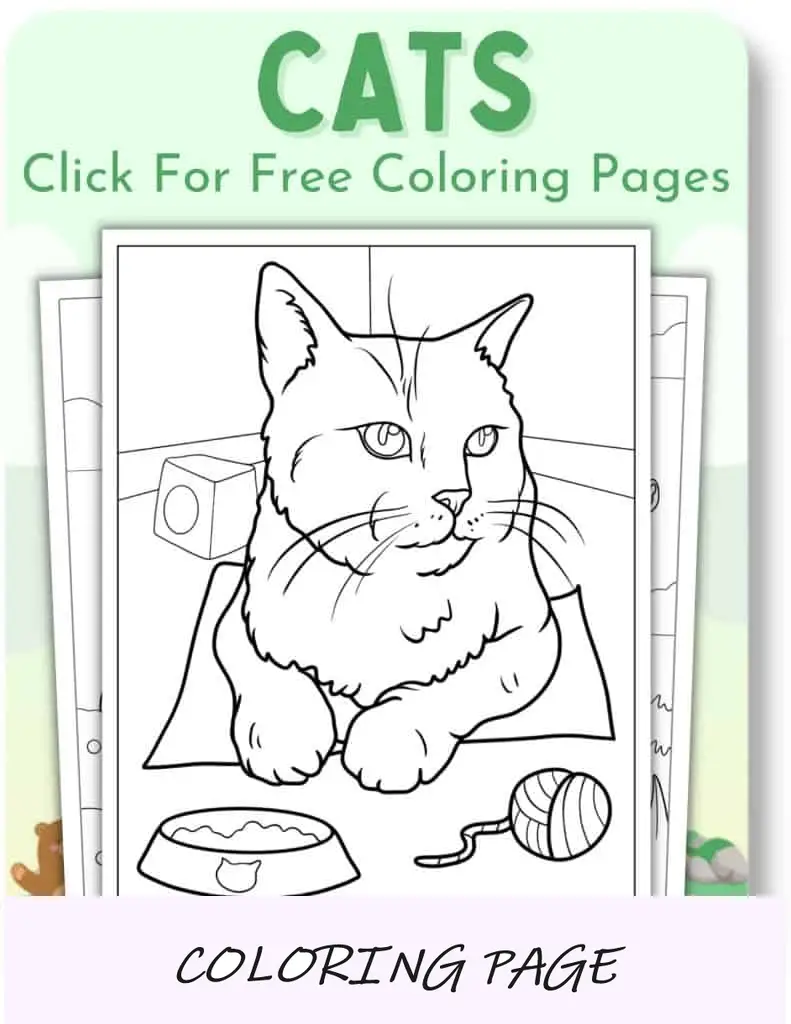Desenhos para colorir de gatos para animais