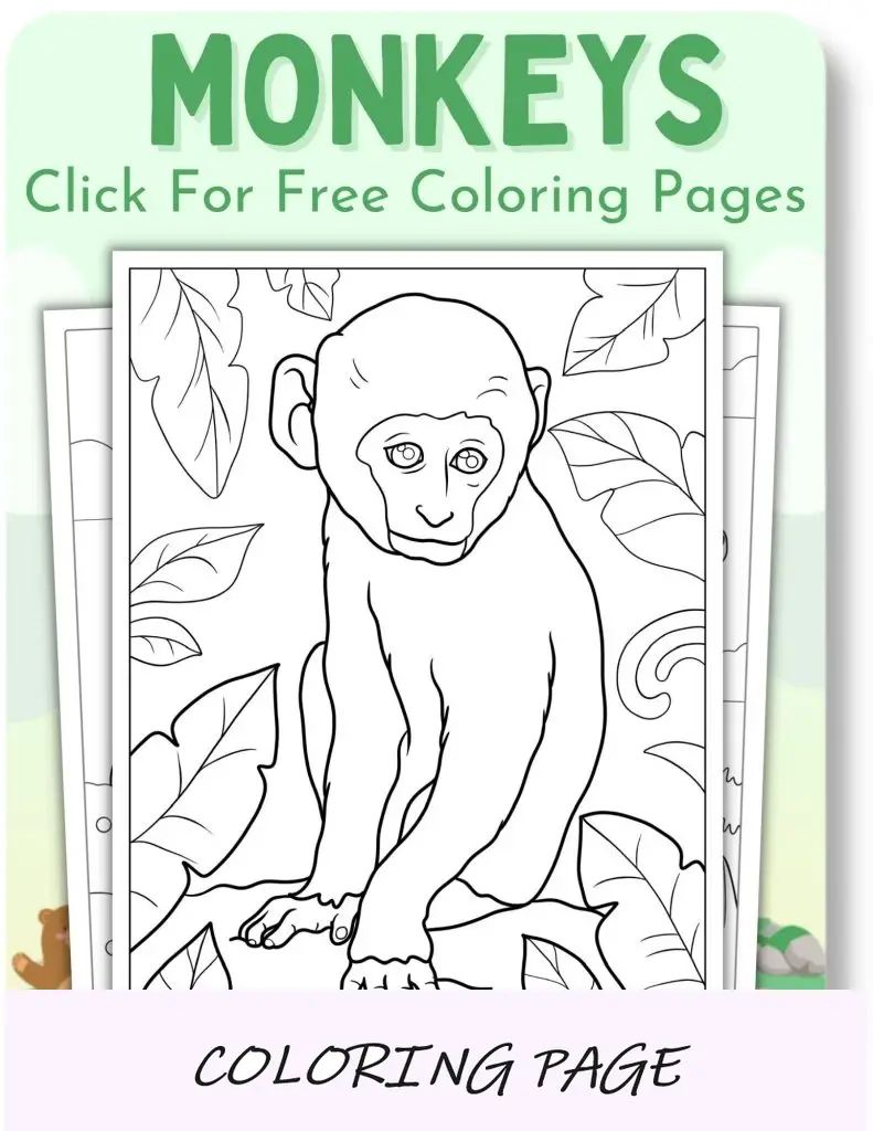 Páginas para colorir de macacos para animais