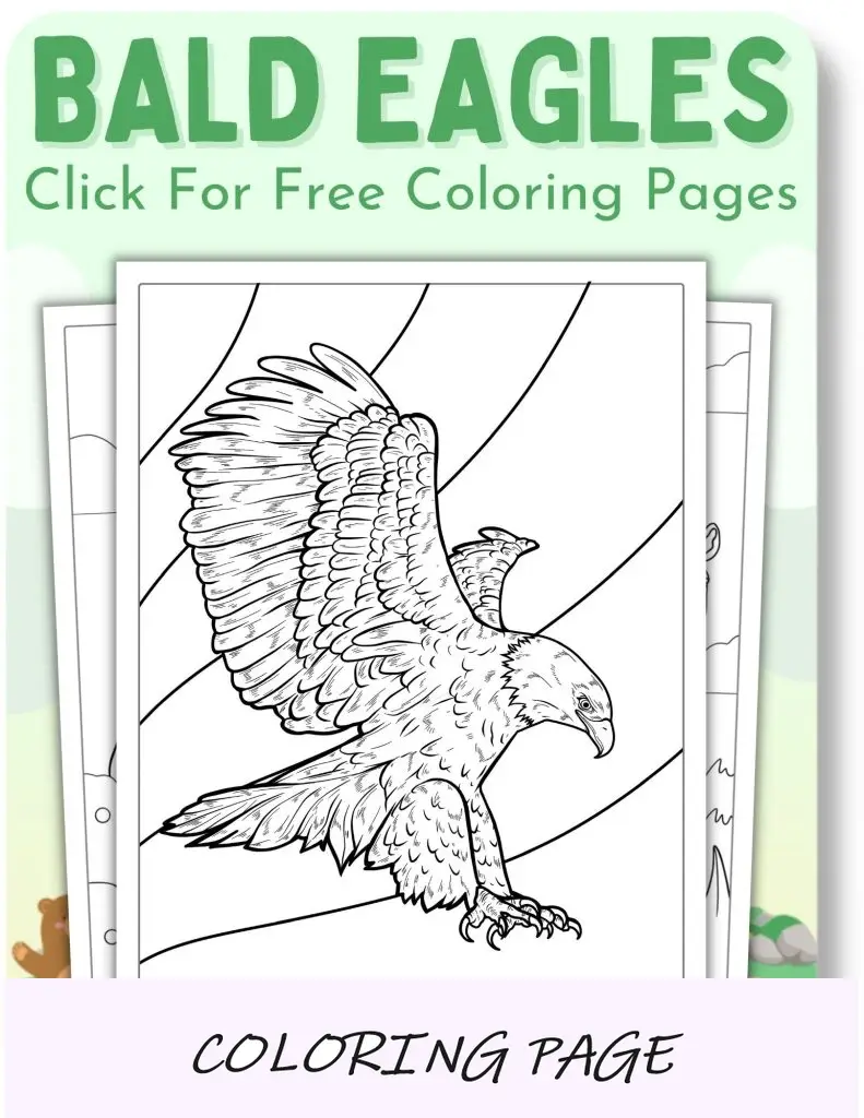 Páginas para colorir de águias americanas para animais
