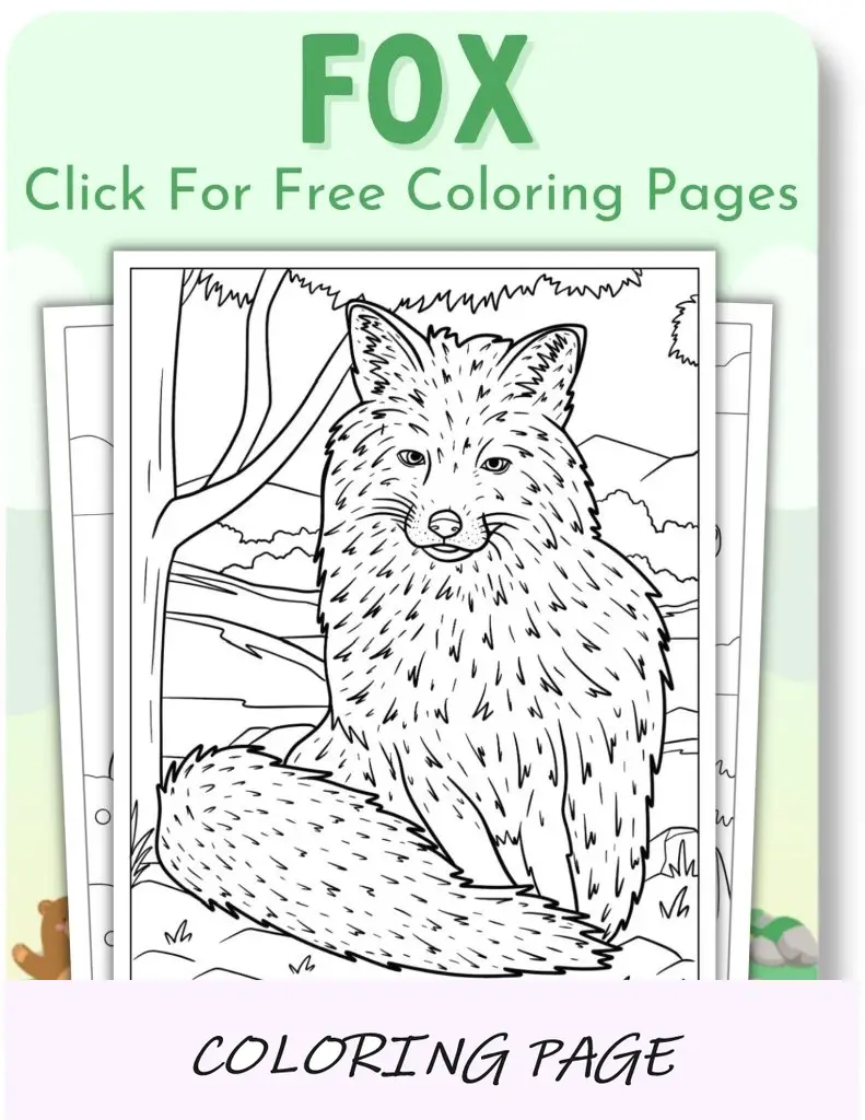 Desenhos para colorir de raposa para animais