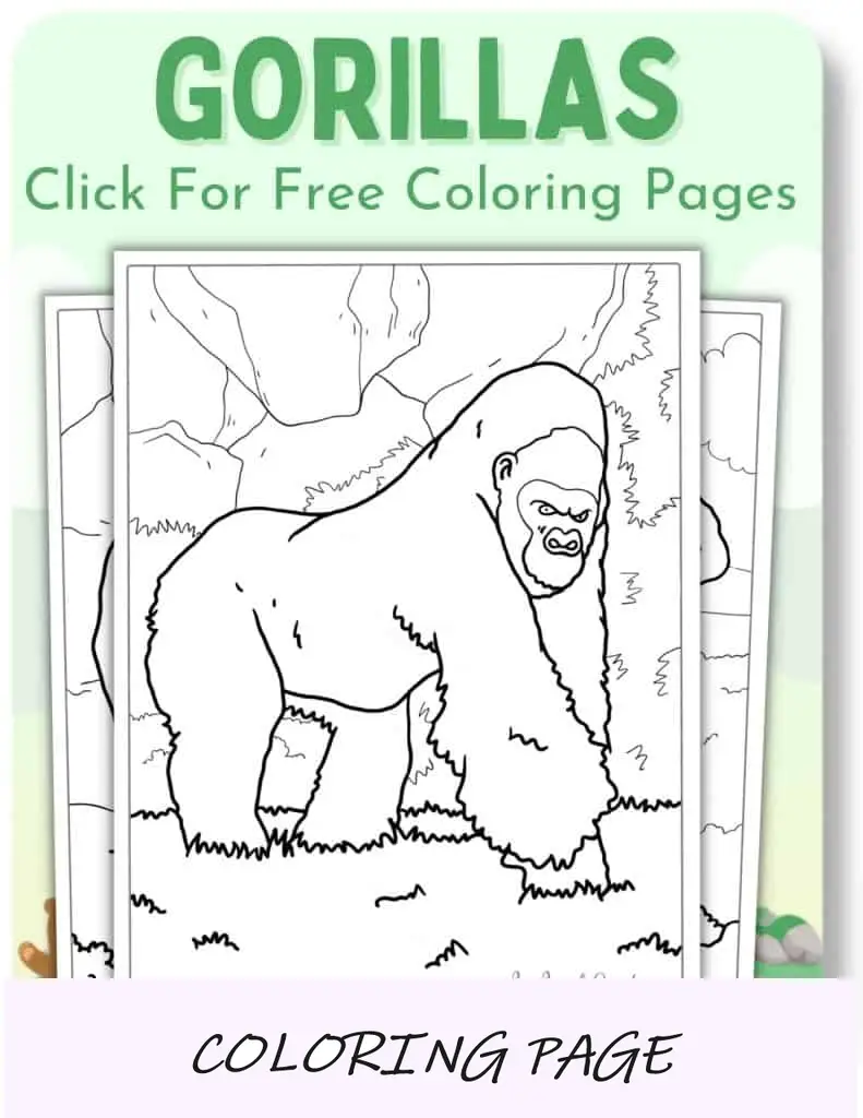 Desenhos para colorir de gorilas_