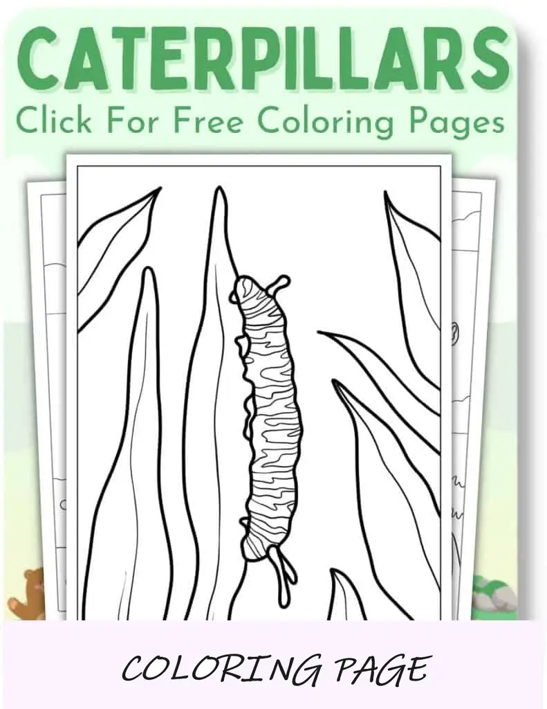 Desenhos para colorir de lagartas