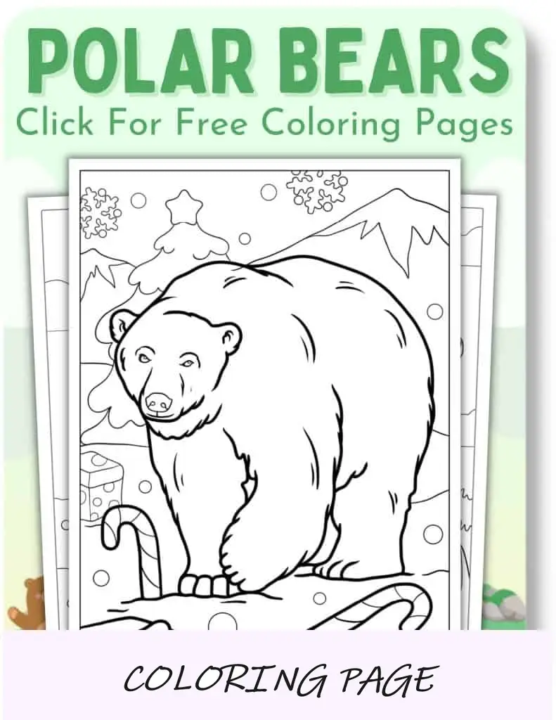 Desenhos para colorir de ursos polares para animais