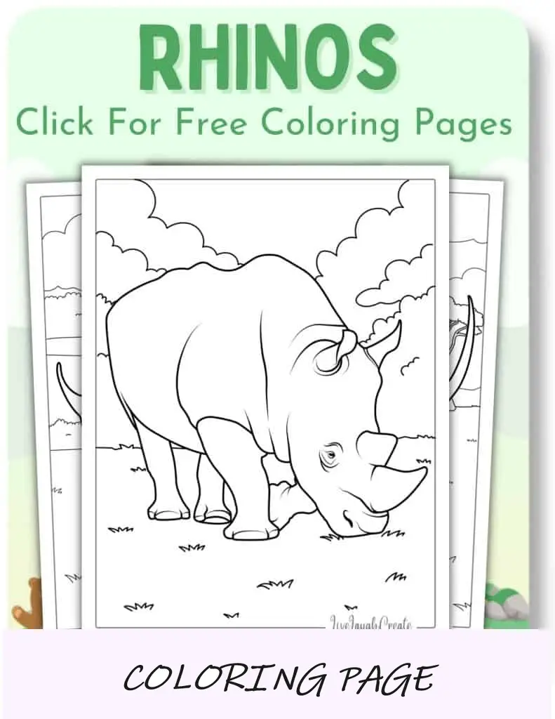 Desenhos para colorir de rinocerontes_