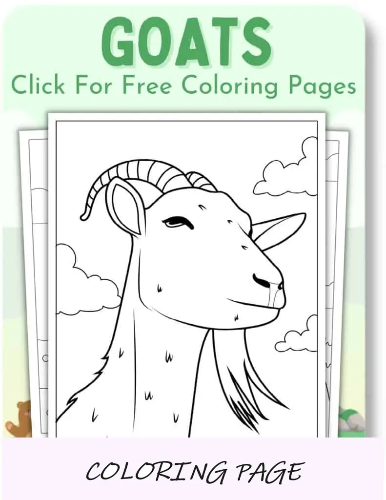 Desenhos para colorir de cabras___