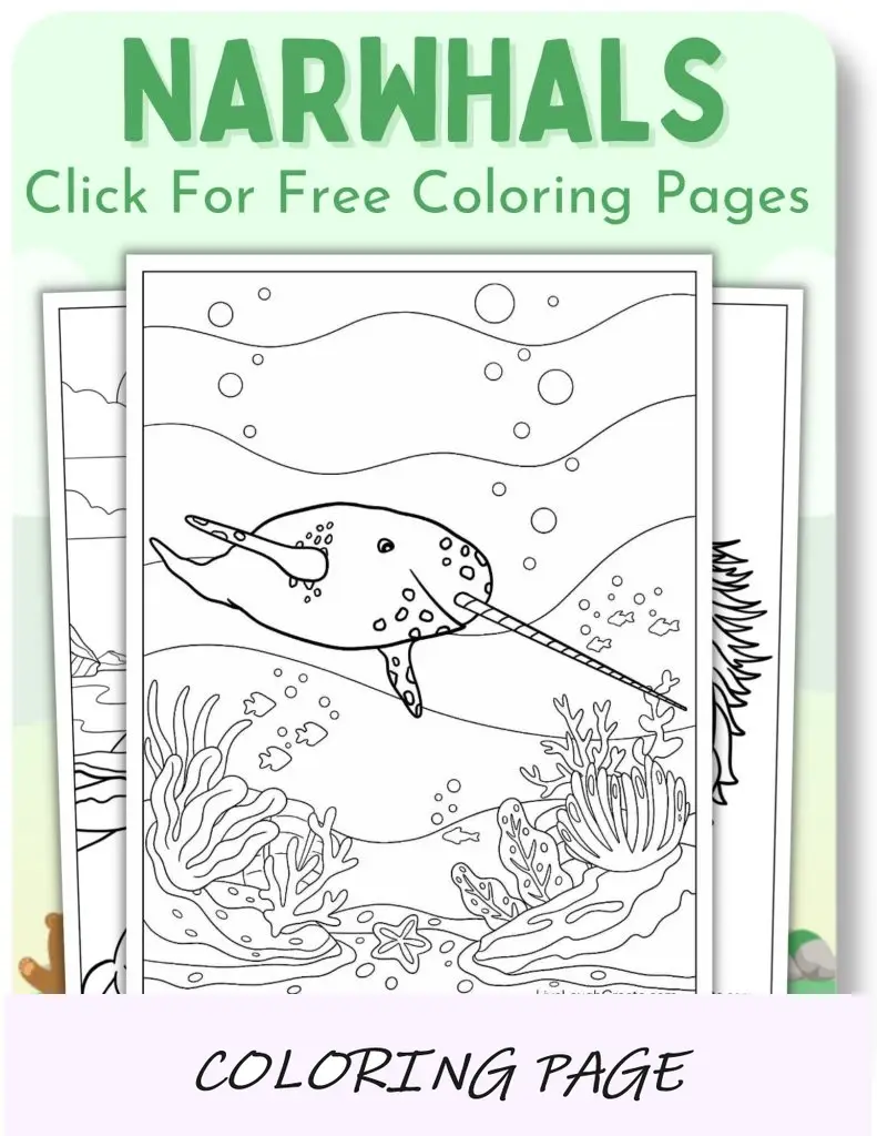 Desenhos para colorir de narvais_