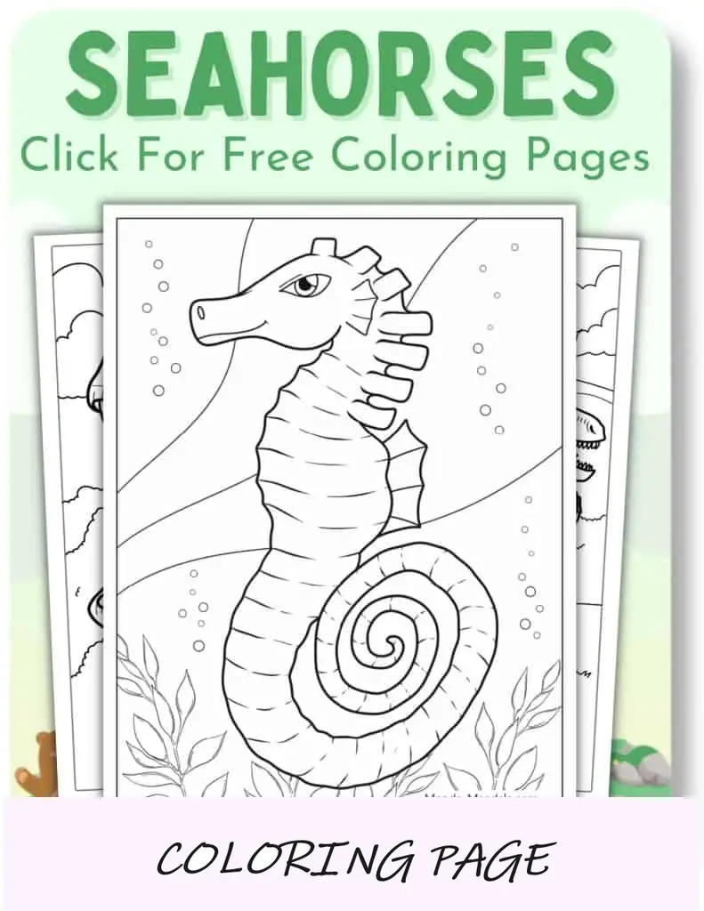 Desenhos para colorir de cavalos-marinhos