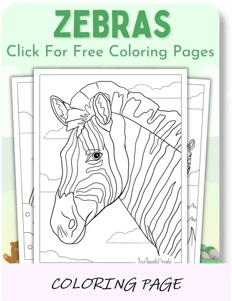 Desenhos para colorir de zebras_