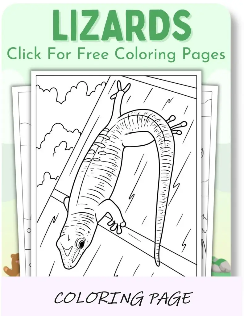 Páginas para colorir de lagartos para animais