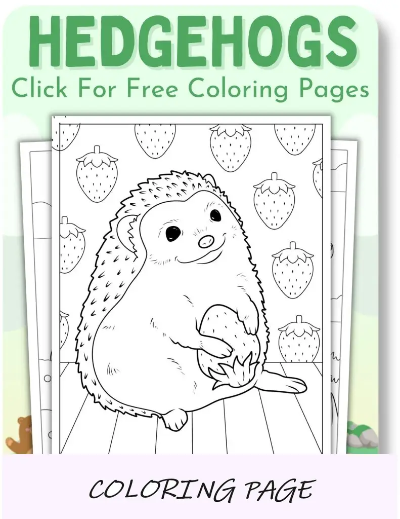 Páginas para colorir de ouriços para animais