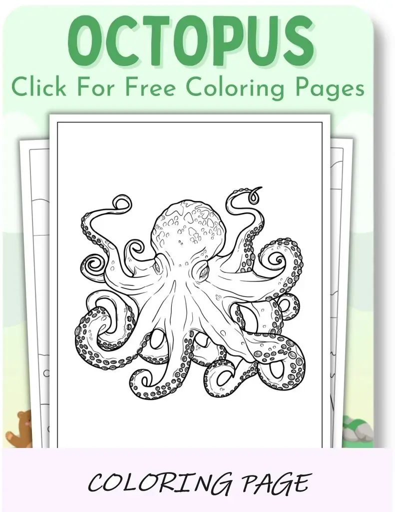 Desenhos para colorir de polvo para animais