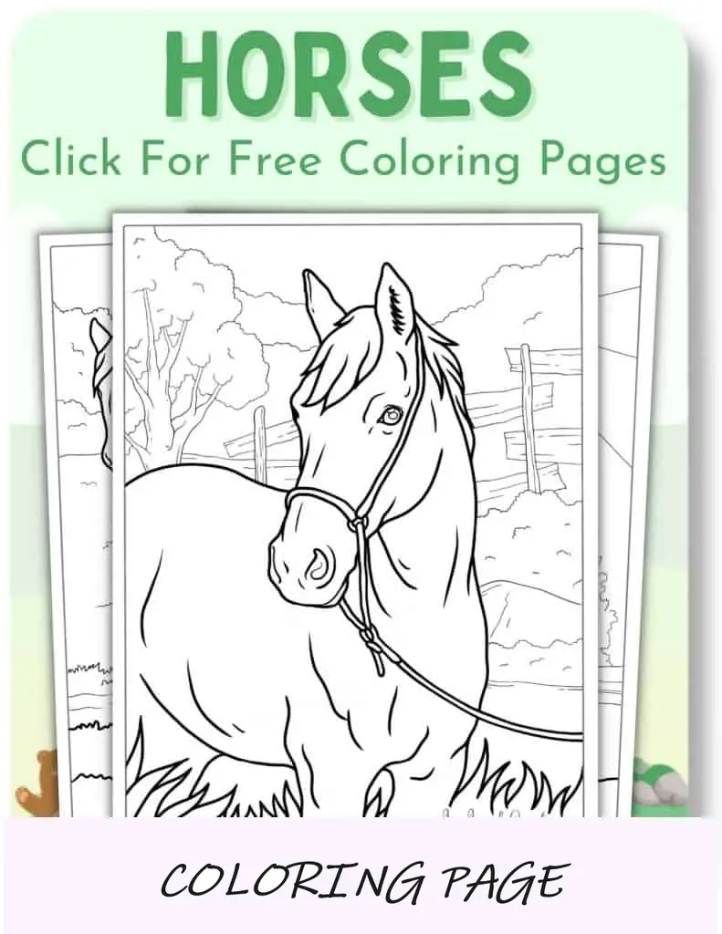 Desenhos para colorir de cavalos_