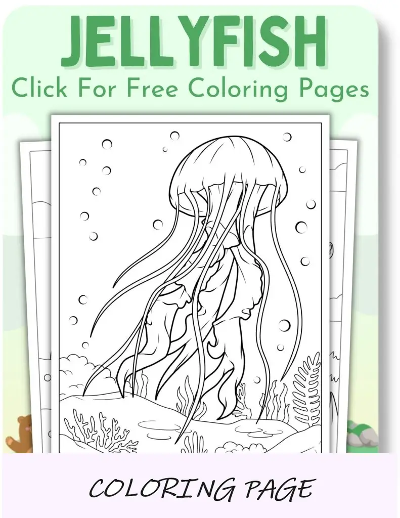 Desenhos para colorir de medusas para animais