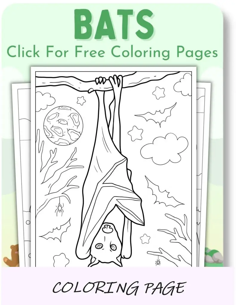 Páginas para colorir de morcegos para animais