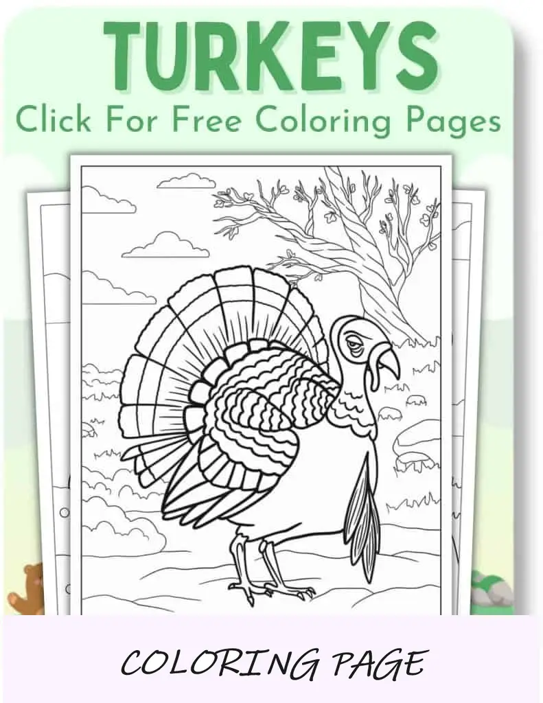 Páginas para colorir de perus para animais