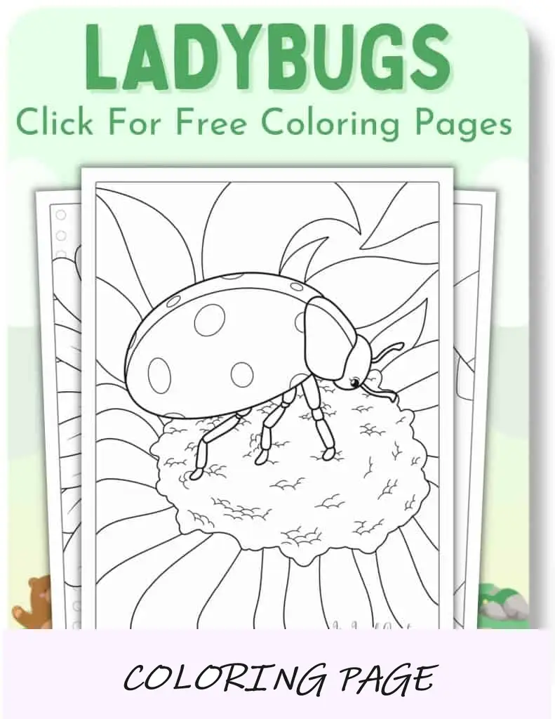 Desenhos para colorir de joaninhas_