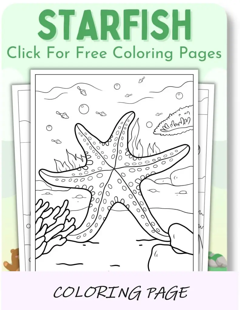 Desenhos para colorir de estrelas do mar para animais