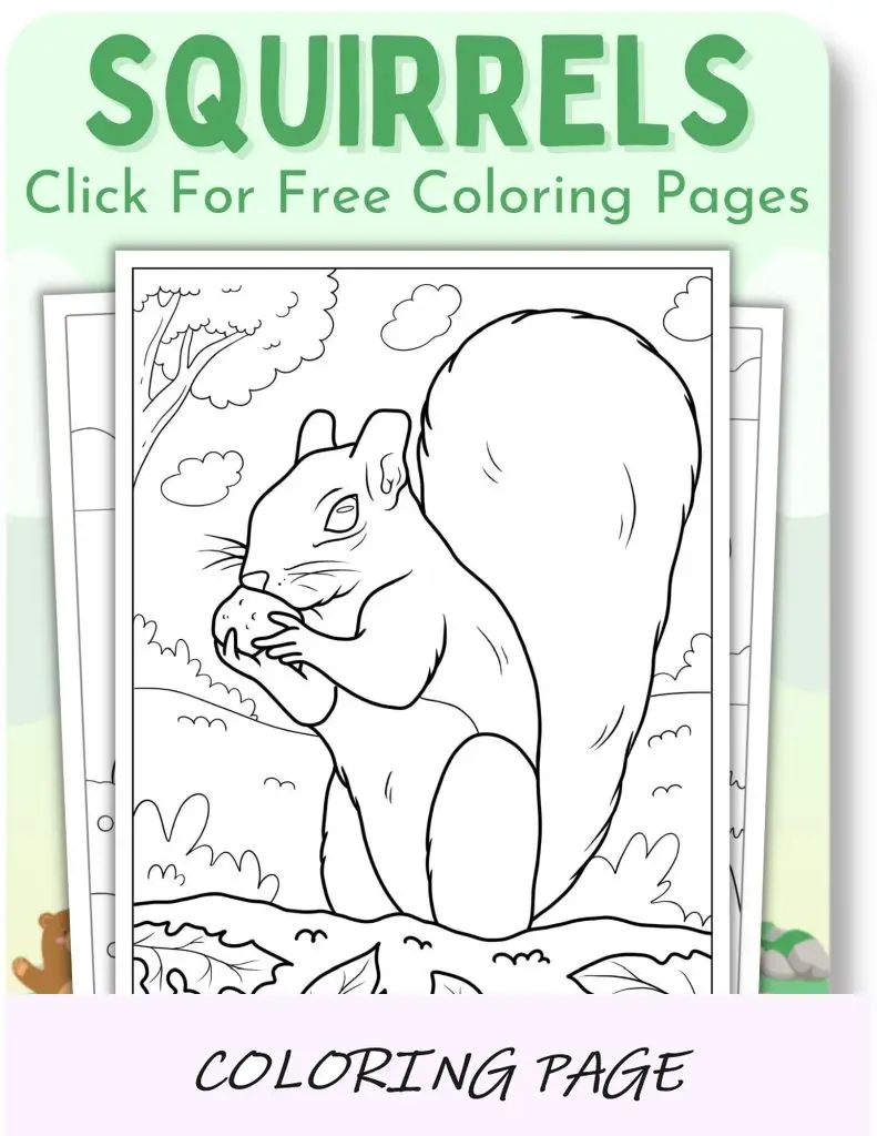Desenhos de esquilos para colorir para animais
