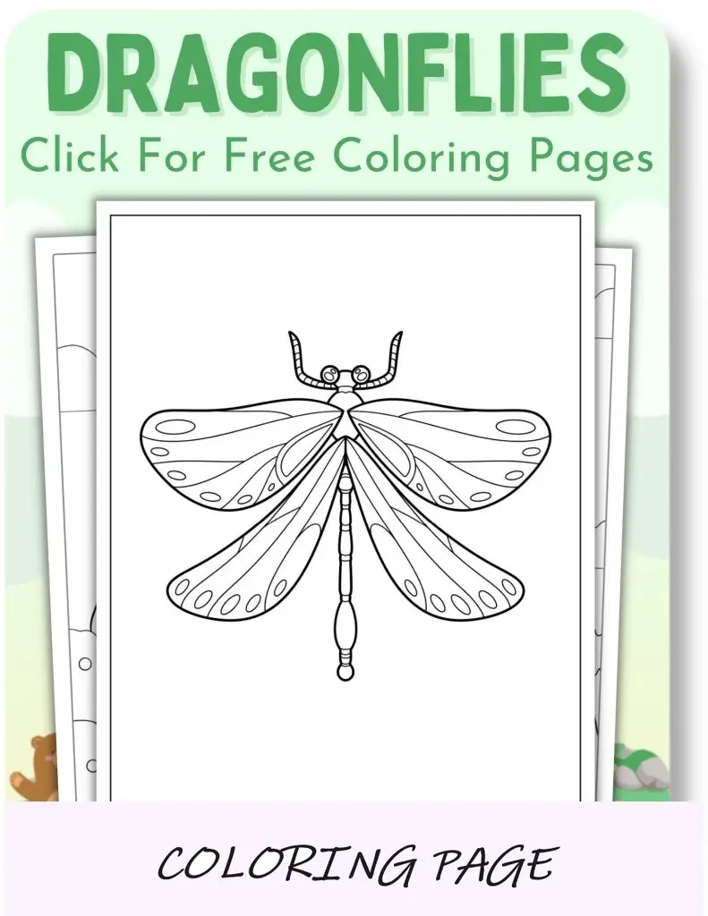 Páginas para colorir de libélulas para animais