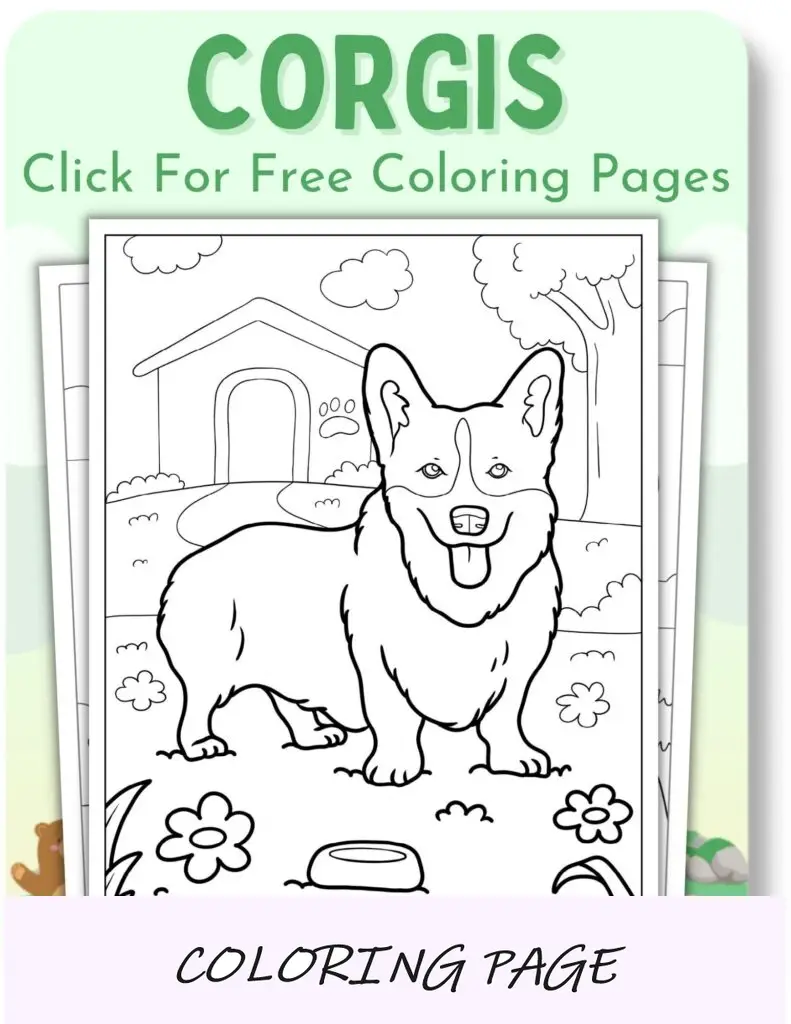 Desenhos para colorir de Corgis para animais