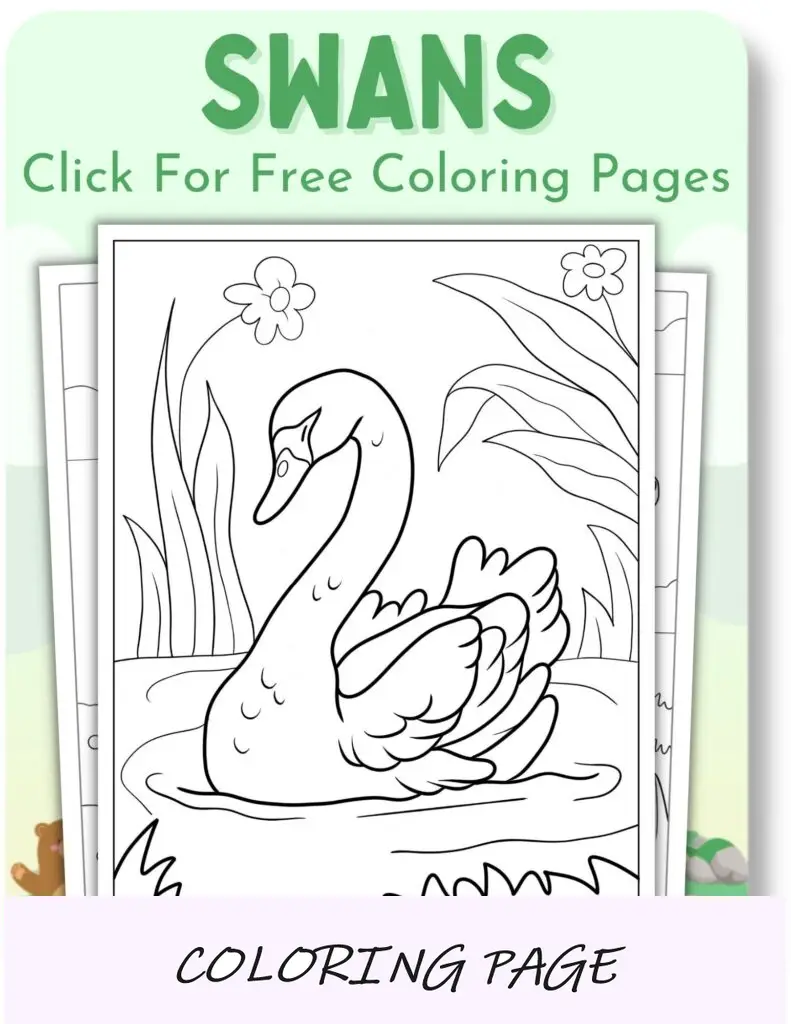 Desenhos para colorir de cisnes para animais