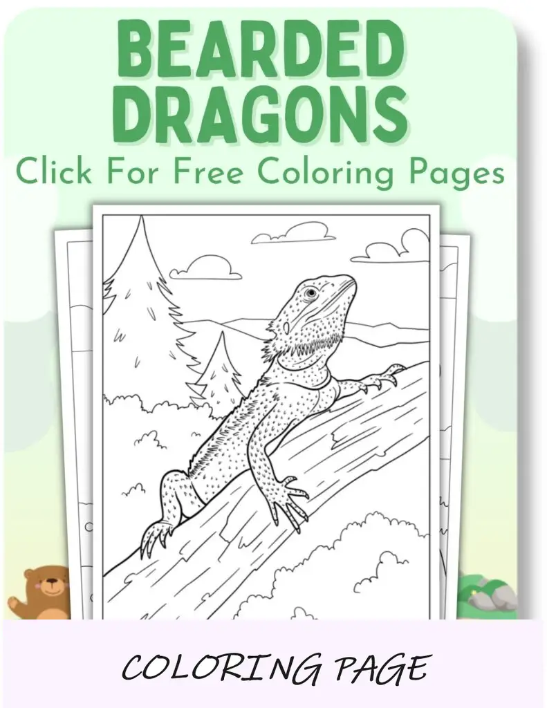 Desenhos para colorir de dragões barbudos para animais