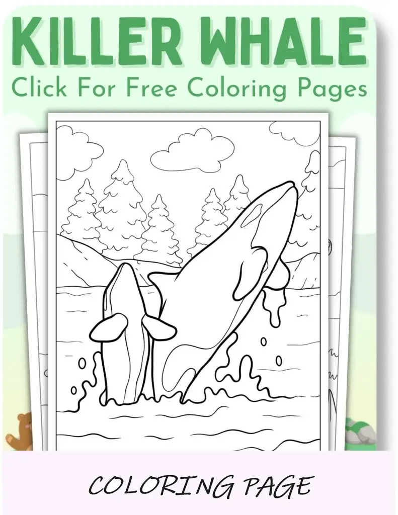 Desenhos para colorir de baleia assassina para animais