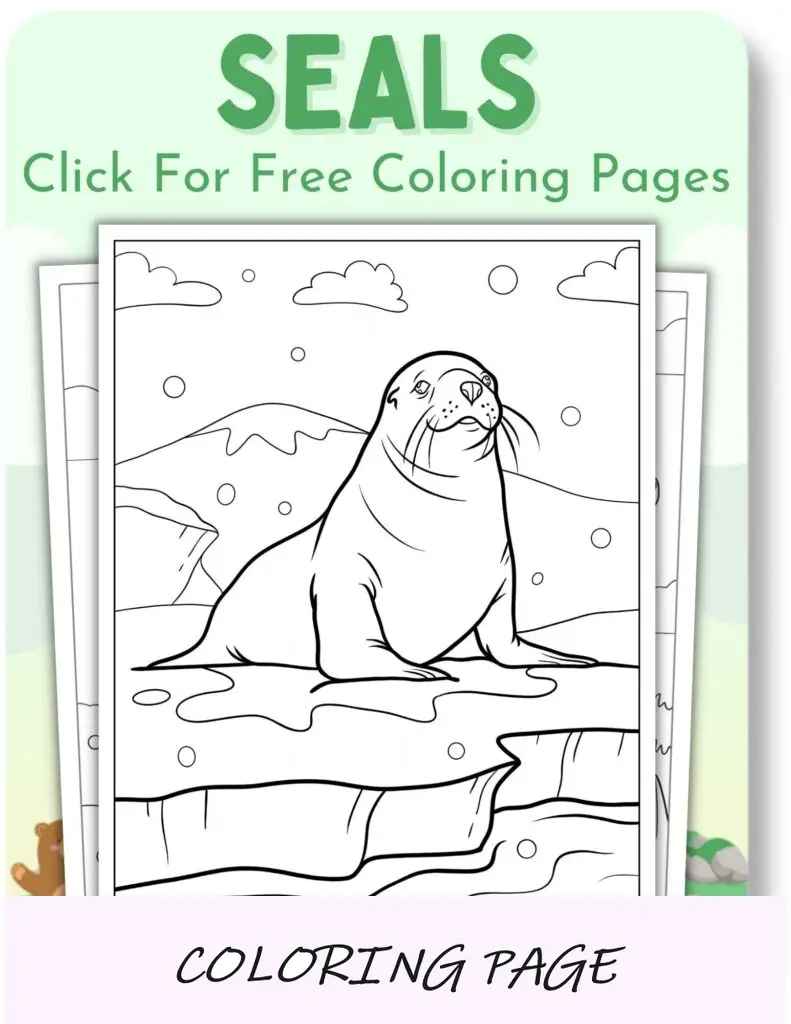 Desenhos para colorir de focas para animais