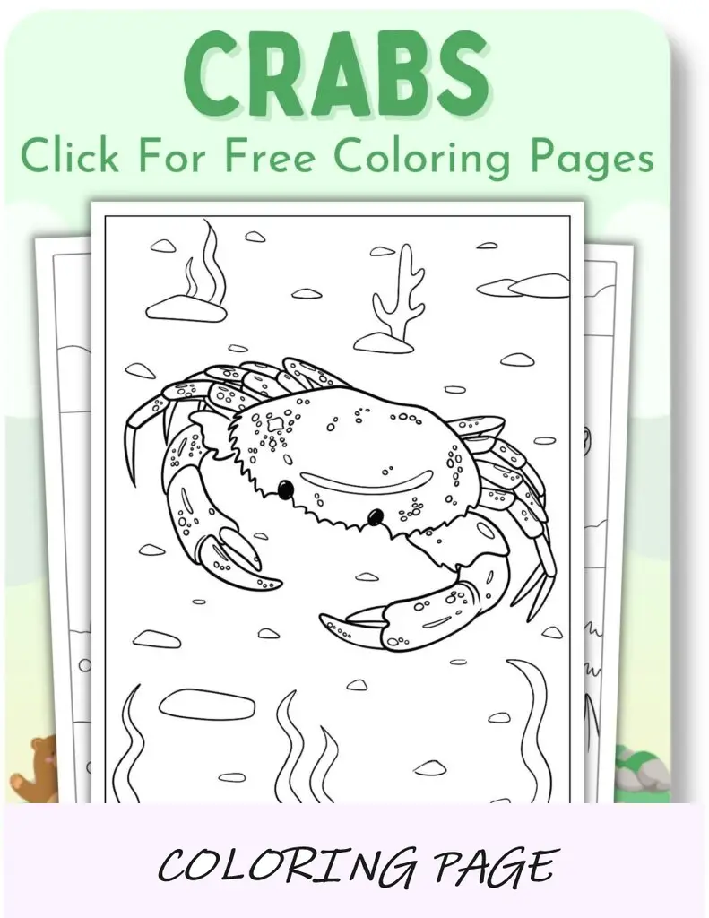 Desenhos para colorir de caranguejos para animais