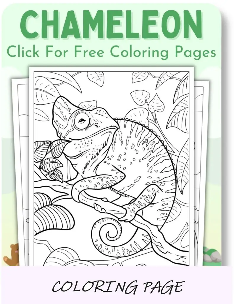Desenhos para colorir camaleão para animais