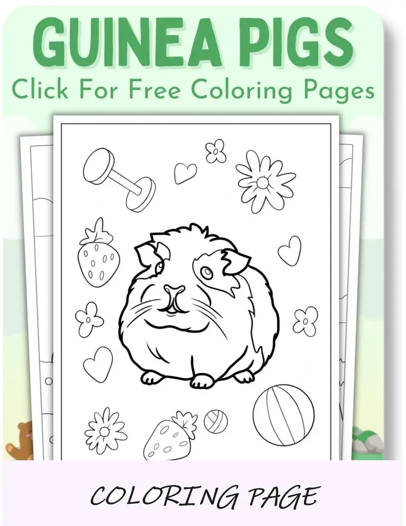 Páginas para colorir de cobaias para animais
