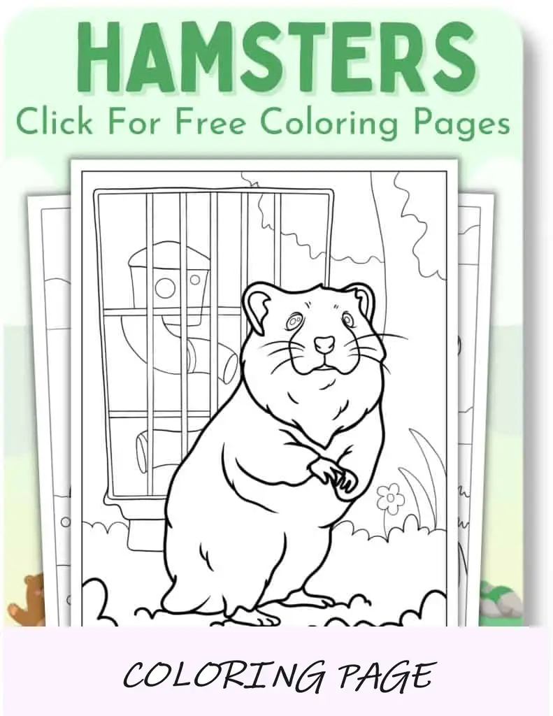 Páginas para colorir de hamsters para animais