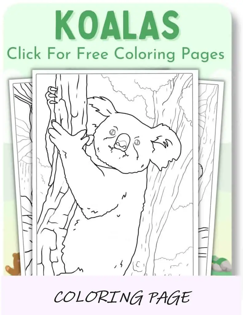 Desenhos para colorir de coalas_