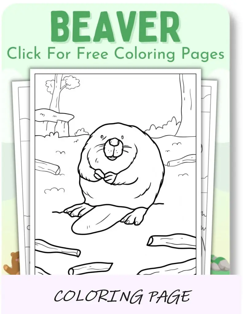 Desenhos para colorir de castor para animais