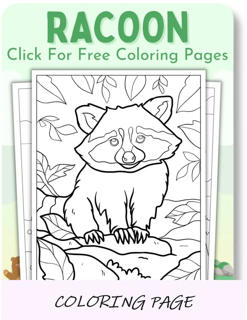 Imagem em destaque de páginas para colorir de guaxinim