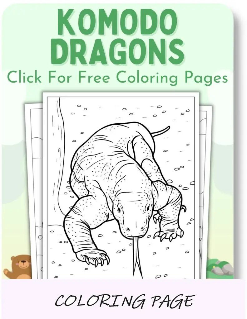 Desenhos para colorir de dragões de Komodo para animais